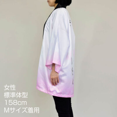 ha01