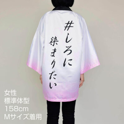 ha01